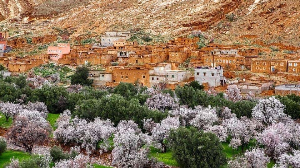 Rose Valley & Dades Gorges