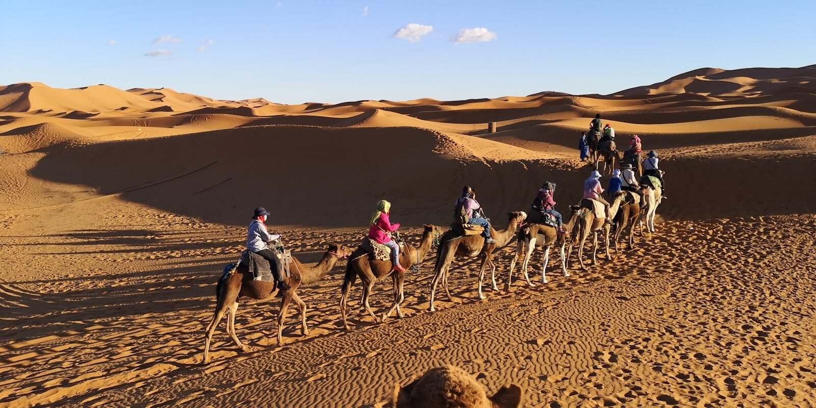 4 Days Desert Tour