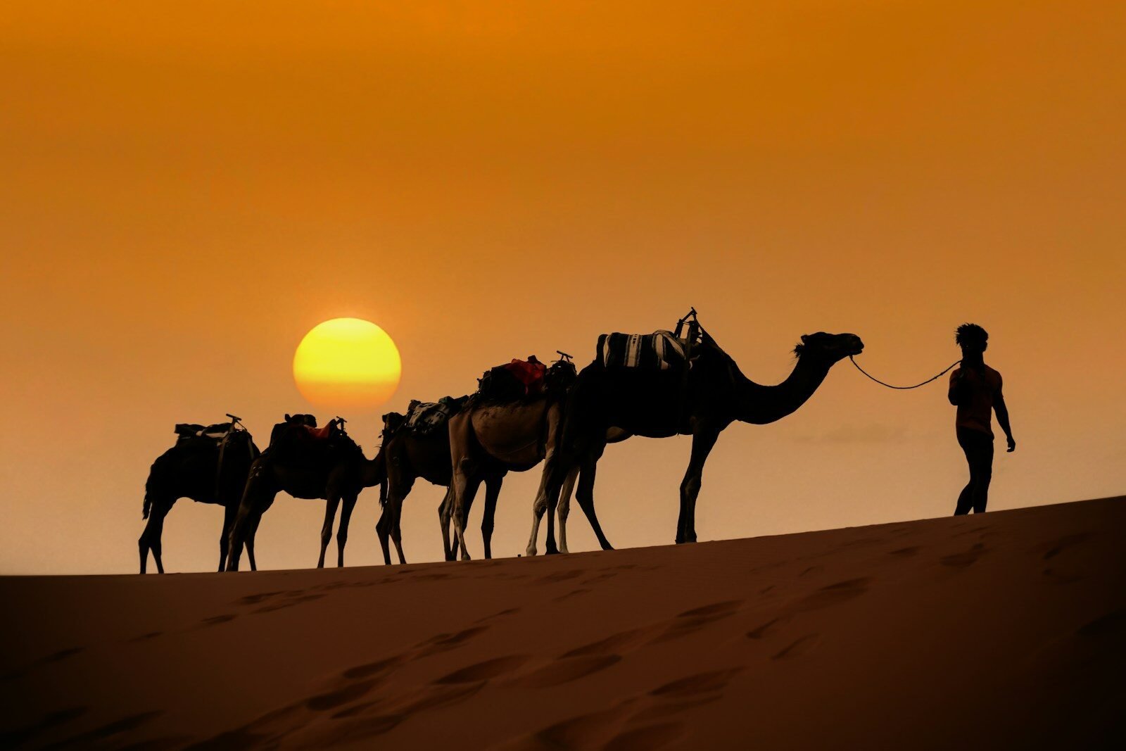 Morocco Desert Sand Dunes
